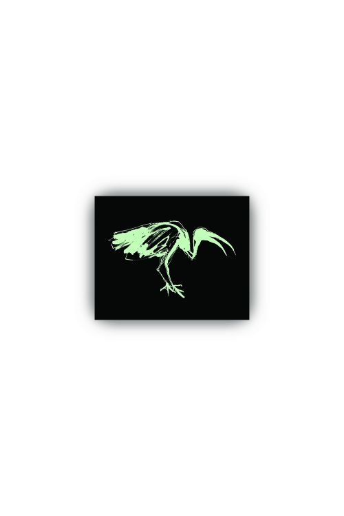 Glow in the dark Ibis Sticker by DMA'S